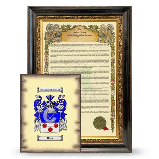 Buer Framed History and Coat of Arms Print - Heirloom
