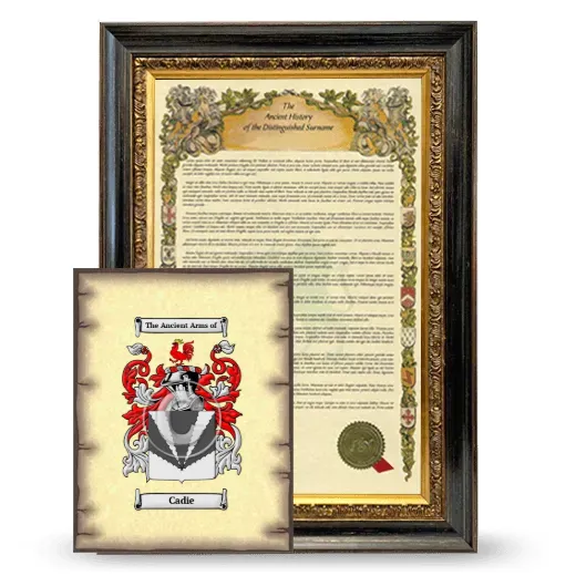 Cadie Framed History and Coat of Arms Print - Heirloom