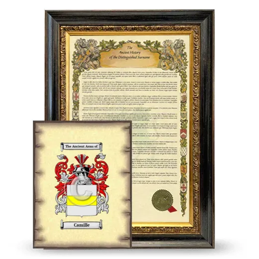 Camille Framed History and Coat of Arms Print - Heirloom