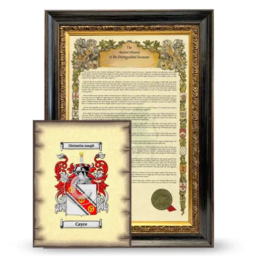 Cayce Framed History and Coat of Arms Print - Heirloom