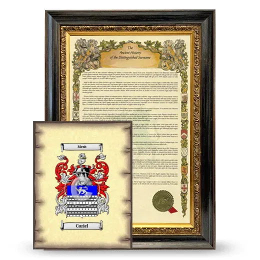 Curiel Framed History and Coat of Arms Print - Heirloom