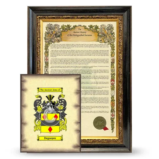 Degooyer Framed History and Coat of Arms Print - Heirloom