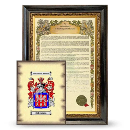 Del'campo Framed History and Coat of Arms Print - Heirloom