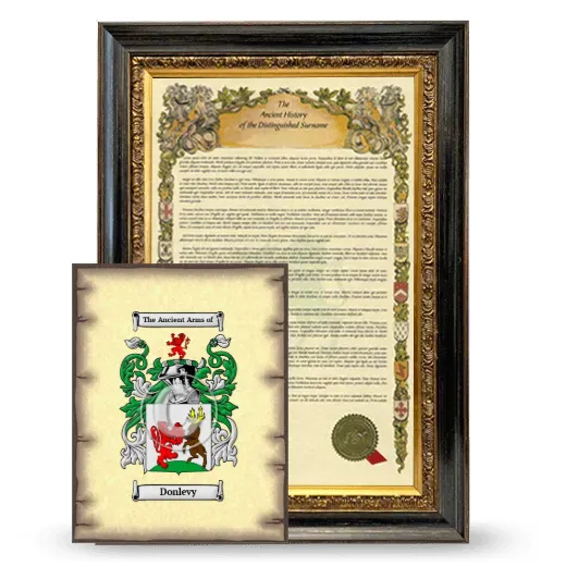 Donlevy Framed History and Coat of Arms Print - Heirloom