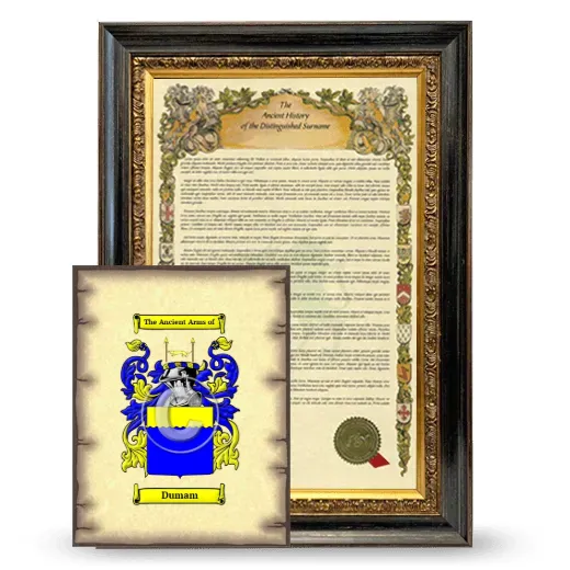 Dumam Framed History and Coat of Arms Print - Heirloom