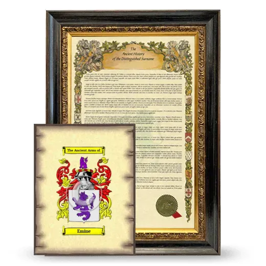 Emine Framed History and Coat of Arms Print - Heirloom