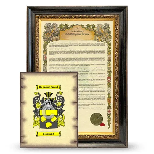 Flamand Framed History and Coat of Arms Print - Heirloom