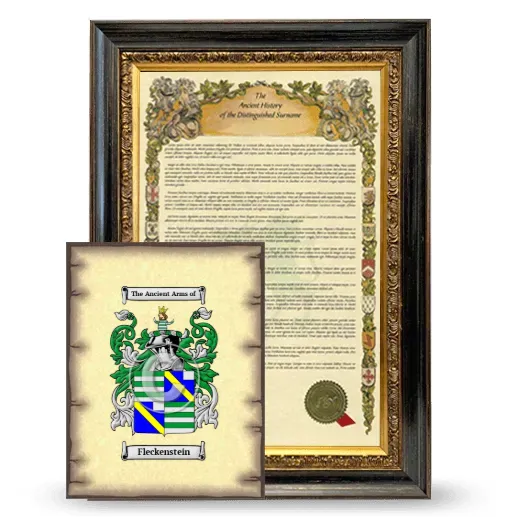 Fleckenstein Framed History and Coat of Arms Print - Heirloom
