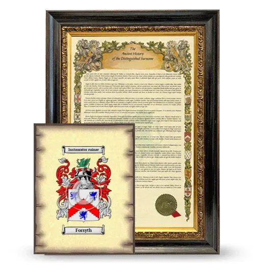 Forsyth Framed History and Coat of Arms Print - Heirloom