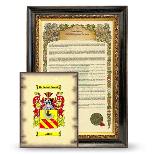 Gallus Framed History and Coat of Arms Print - Heirloom