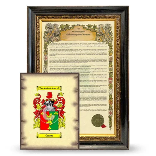 Ganes Framed History and Coat of Arms Print - Heirloom