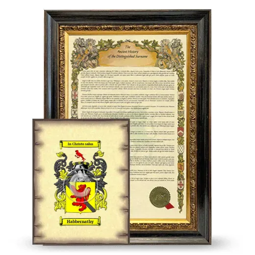 Habbernathy Framed History and Coat of Arms Print - Heirloom