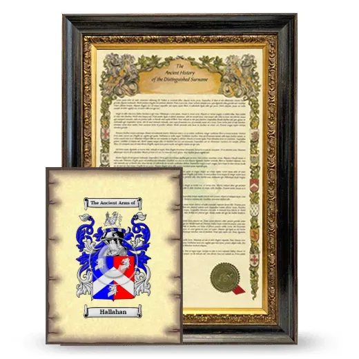 Hallahan Framed History and Coat of Arms Print - Heirloom