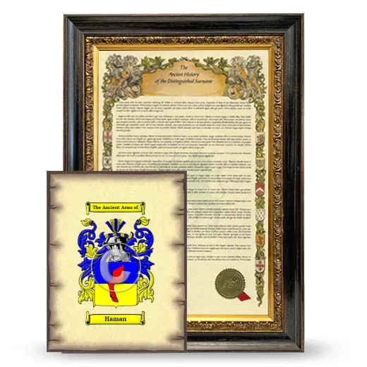 Haman Framed History and Coat of Arms Print - Heirloom