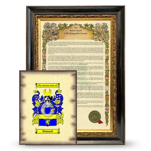 Hammal Framed History and Coat of Arms Print - Heirloom