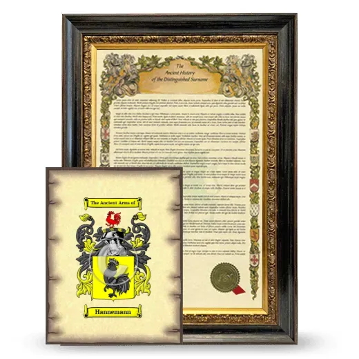 Hannemann Framed History and Coat of Arms Print - Heirloom