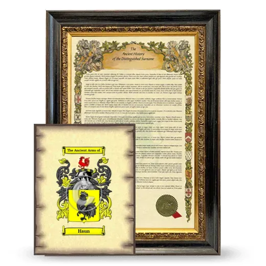 Haun Framed History and Coat of Arms Print - Heirloom