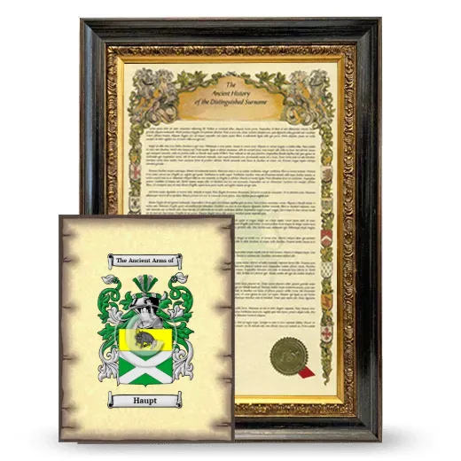 Haupt Framed History and Coat of Arms Print - Heirloom
