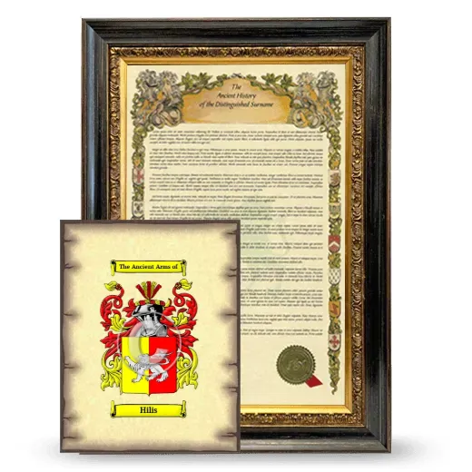 Hilis Framed History and Coat of Arms Print - Heirloom