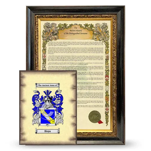 Hoya Framed History and Coat of Arms Print - Heirloom