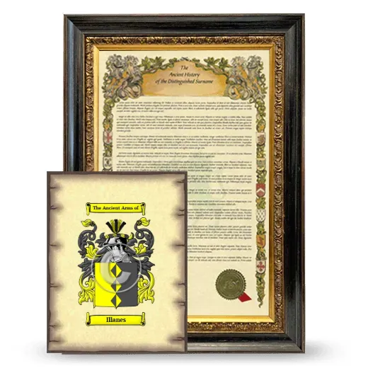 Illanes Framed History and Coat of Arms Print - Heirloom