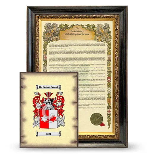 Joel Framed History and Coat of Arms Print - Heirloom