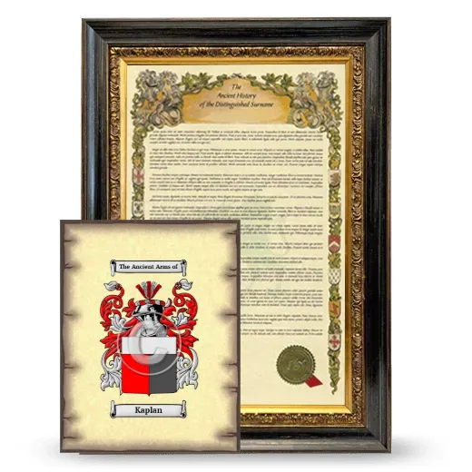 Kaplan Framed History and Coat of Arms Print - Heirloom