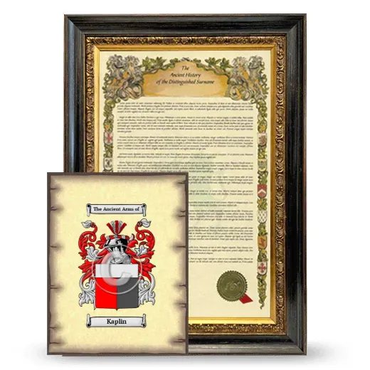 Kaplin Framed History and Coat of Arms Print - Heirloom