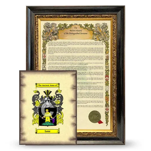 Laur Framed History and Coat of Arms Print - Heirloom