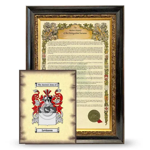 Levinson Framed History and Coat of Arms Print - Heirloom