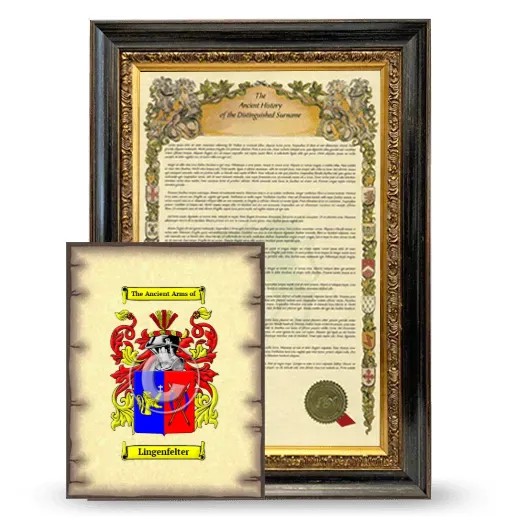 Lingenfelter Framed History and Coat of Arms Print - Heirloom