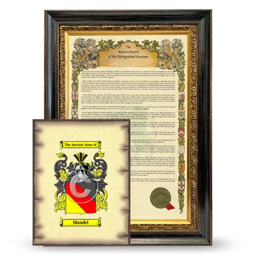 Mandel Framed History and Coat of Arms Print - Heirloom
