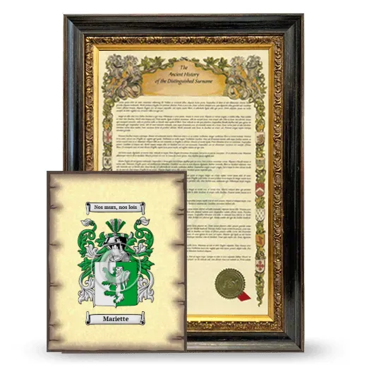 Mariette Framed History and Coat of Arms Print - Heirloom