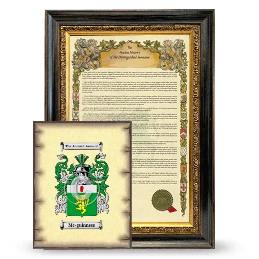 Mc-guinness Framed History and Coat of Arms Print - Heirloom