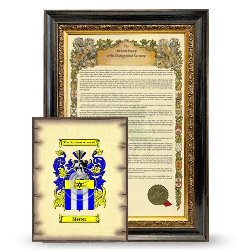 Mester Framed History and Coat of Arms Print - Heirloom