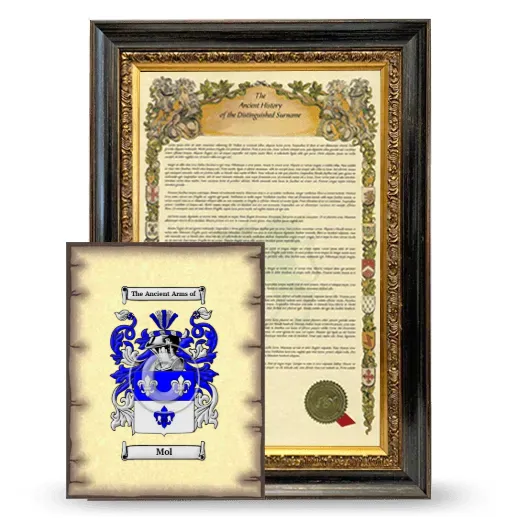 Mol Framed History and Coat of Arms Print - Heirloom