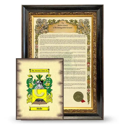 Molle Framed History and Coat of Arms Print - Heirloom