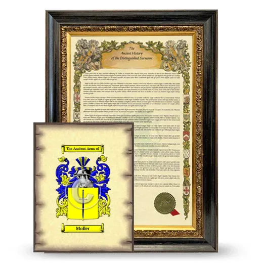 Moller Framed History and Coat of Arms Print - Heirloom