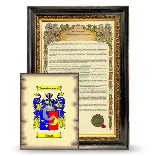 Nauses Framed History and Coat of Arms Print - Heirloom
