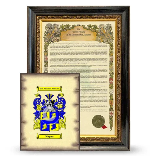 Nayan Framed History and Coat of Arms Print - Heirloom