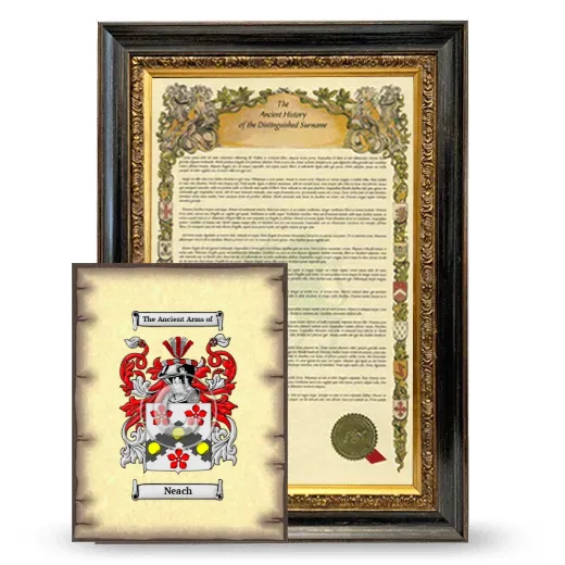 Neach Framed History and Coat of Arms Print - Heirloom