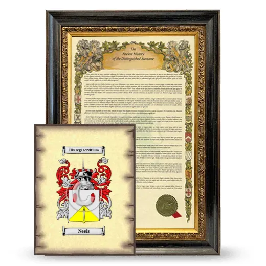 Neels Framed History and Coat of Arms Print - Heirloom