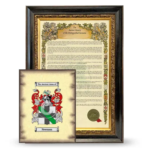 Newnam Framed History and Coat of Arms Print - Heirloom