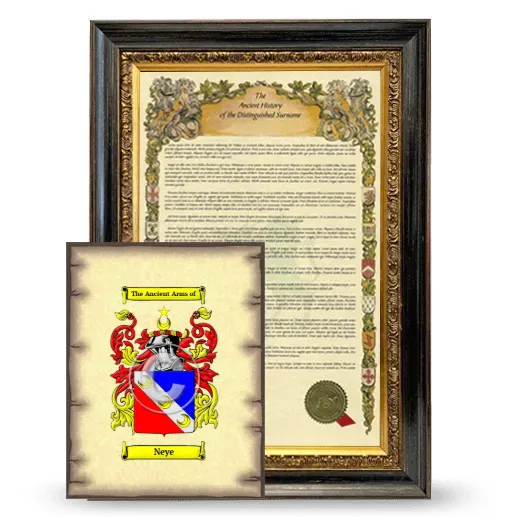 Neye Framed History and Coat of Arms Print - Heirloom