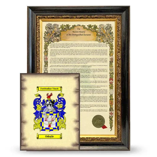 Odoyle Framed History and Coat of Arms Print - Heirloom