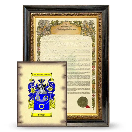 Pelegri Framed History and Coat of Arms Print - Heirloom