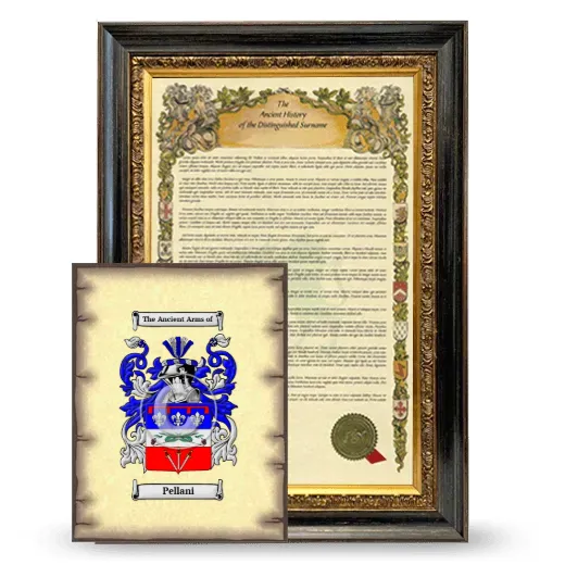 Pellani Framed History and Coat of Arms Print - Heirloom