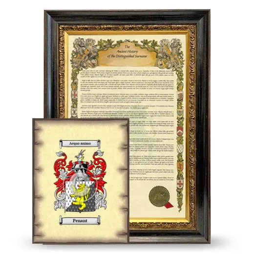 Penant Framed History and Coat of Arms Print - Heirloom