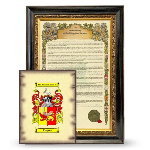 Playses Framed History and Coat of Arms Print - Heirloom