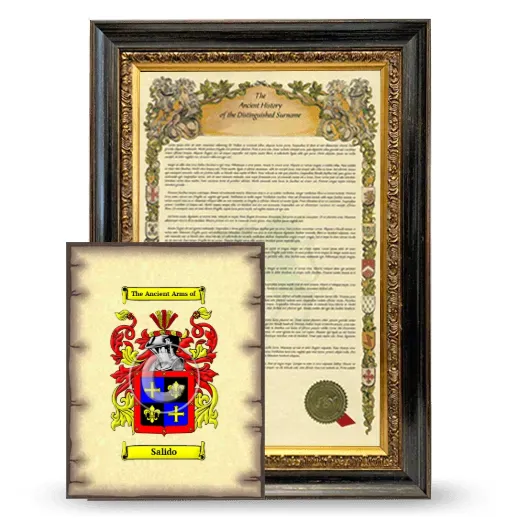 Salido Framed History and Coat of Arms Print - Heirloom